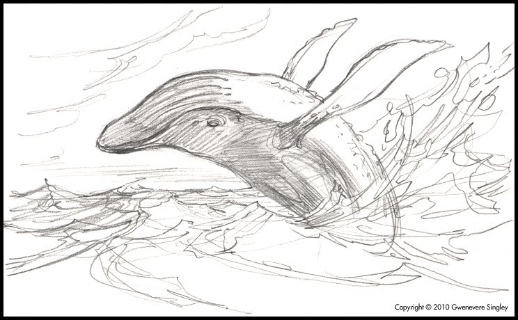 744x460 Humpback Whale Breaching Drawing