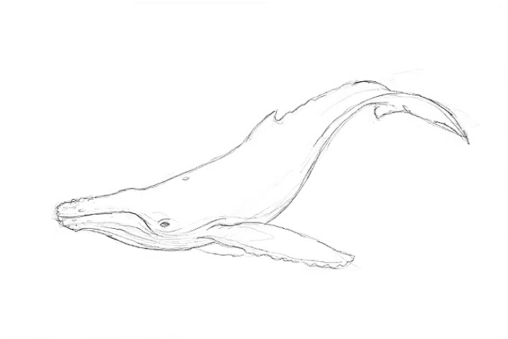 720x480 Michaela Arvidsson Portfolio