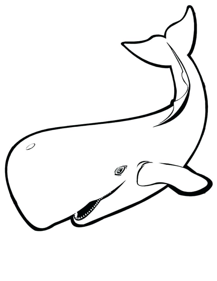 742x960 Whale Coloring Pages Printable Whale Colouring Page 0 Free
