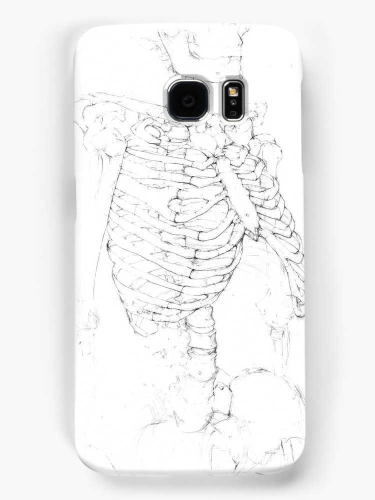 750x1000 Pencil Sketch Of A Human Skeleton. Drawn