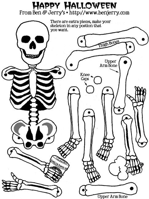 486x648 Best Skeleton Muscles Ideas On Skeleton Anatomy