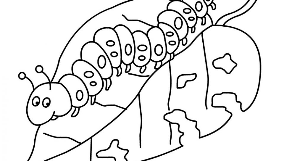 960x544 Printable Caterpillar Coloring Pages Free Animals Big Hungry Stock