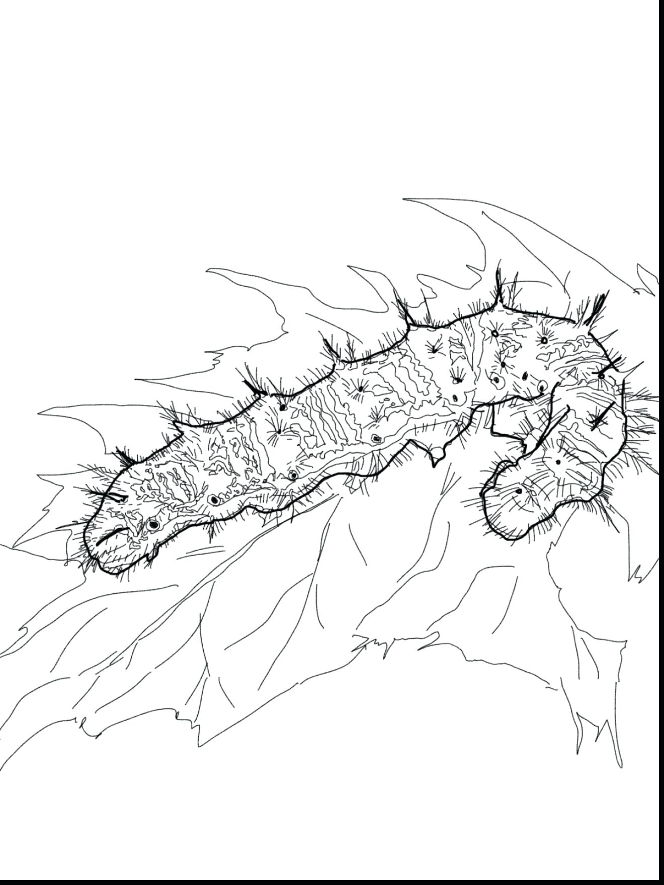 1320x1760 Coloring The Very Hungry Caterpillar Coloring Page In Pages Me