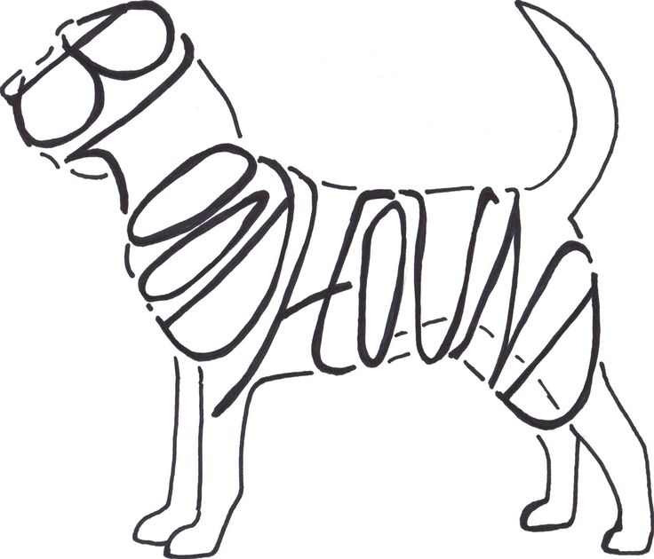 736x630 76 Best Black Amp White Drawings Images On Greyhounds