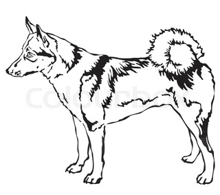 320x283 A Simple Drawing A Hunting Dog. The East Siberian Laika Stock