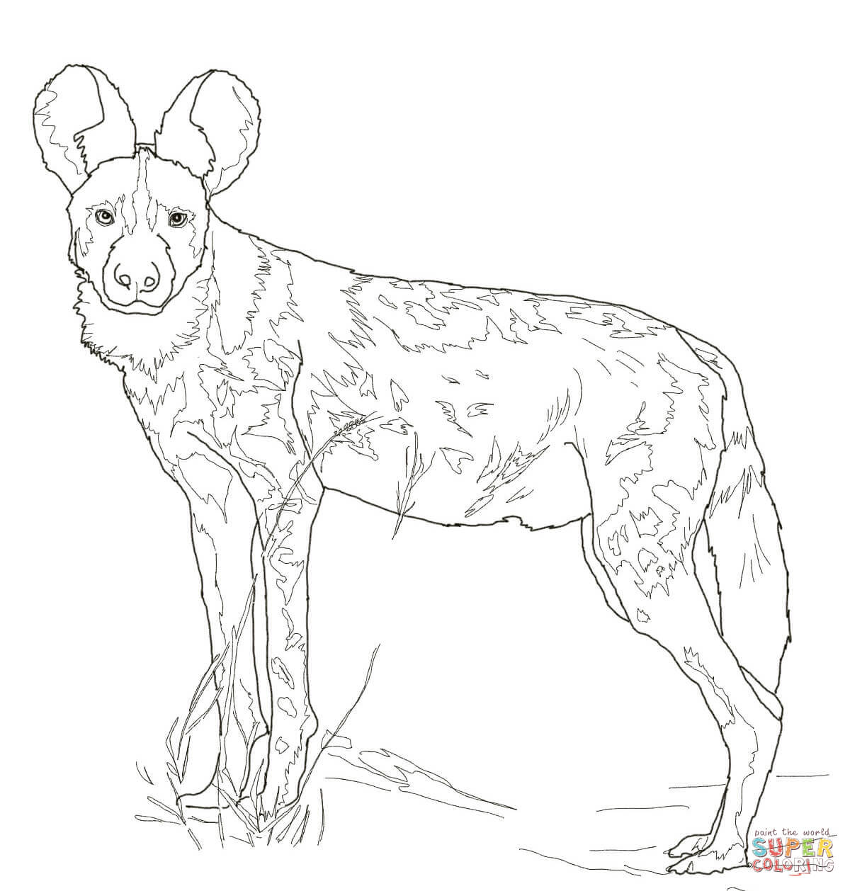 1200x1258 African Wild Dog Coloring Page Free Printable Coloring Pages