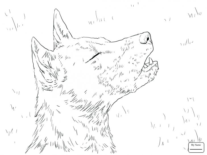 728x546 Coloring Pages Dogs Online Mammals Wild Dog Or Painted Hunting