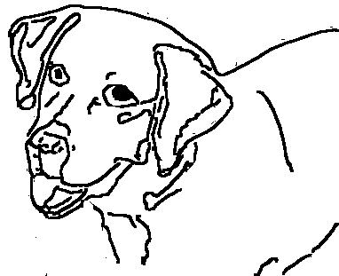 382x311 Dog Coloring Pages For Kids