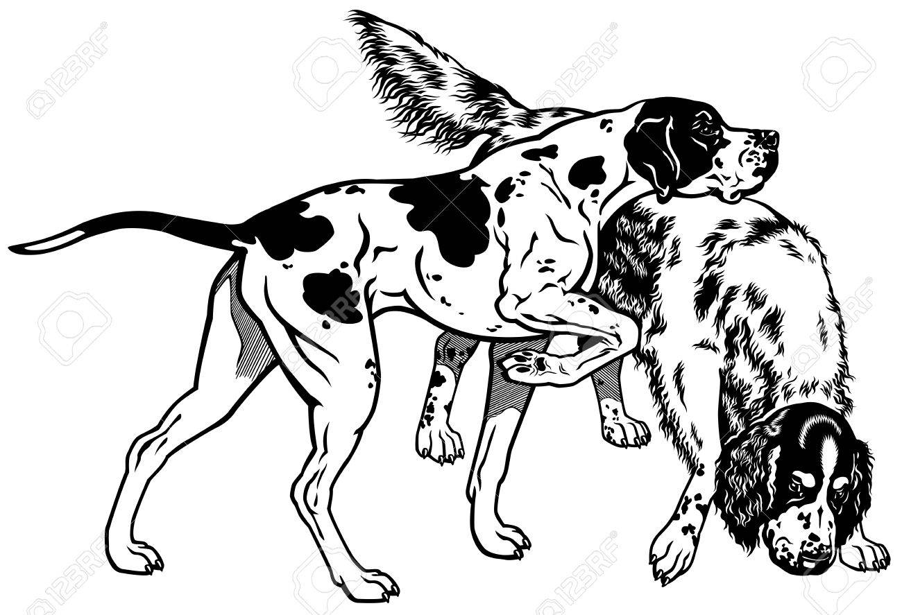 Download Hunting Dogs Drawing at GetDrawings.com | Free for personal use Hunting Dogs Drawing of your choice