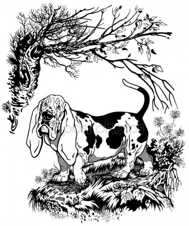 376x450 Hunter With Dog Hunting Animals In The Forest