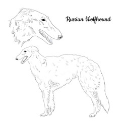 240x240 Search Photos Sighthound