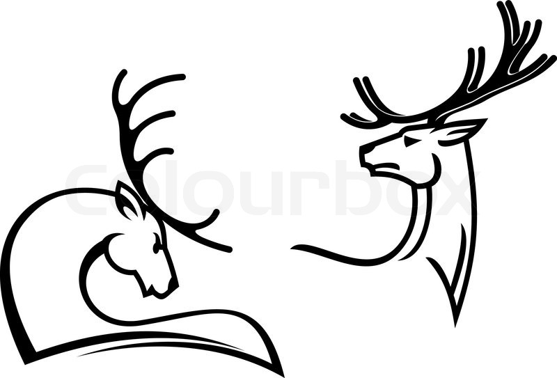 800x543 Deers With Big Antlers For Tattoo, Mascot Or Hunting Symbols