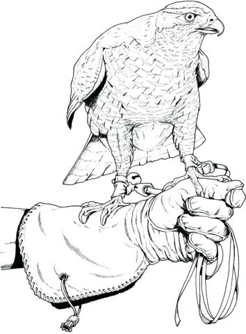 354x480 Hunting Coloring Book Also Hunting Fishing And Wildlife Coloring