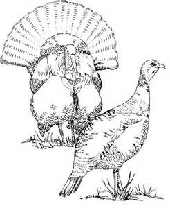 246x300 Best Hunting Drawings Ideas On Deer Drawing, Deer