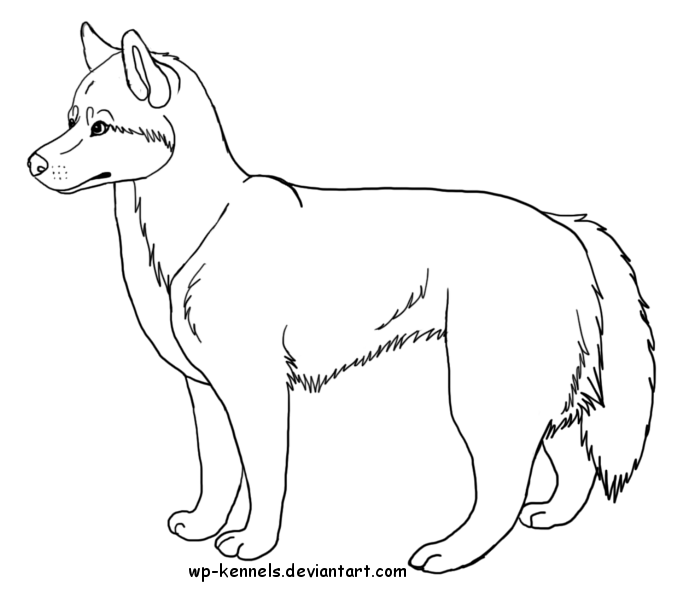 700x591 Husky Drawing Outlines Husky Coloring Pages To Print