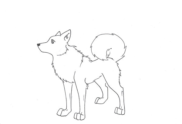 600x410 Husky Dog Lineart By Wolfclawalchemist
