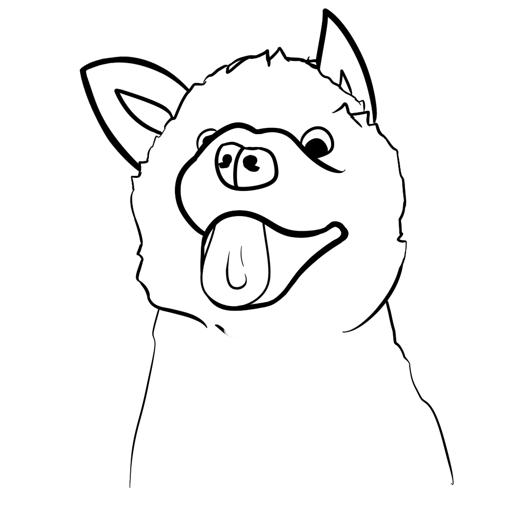 1080x1080 March 17th