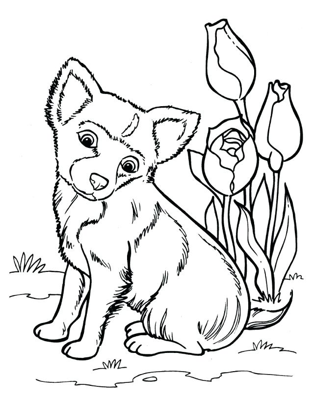 640x828 Puppies Coloring Drawn Husky Coloring Page 9 Puppies Coloring