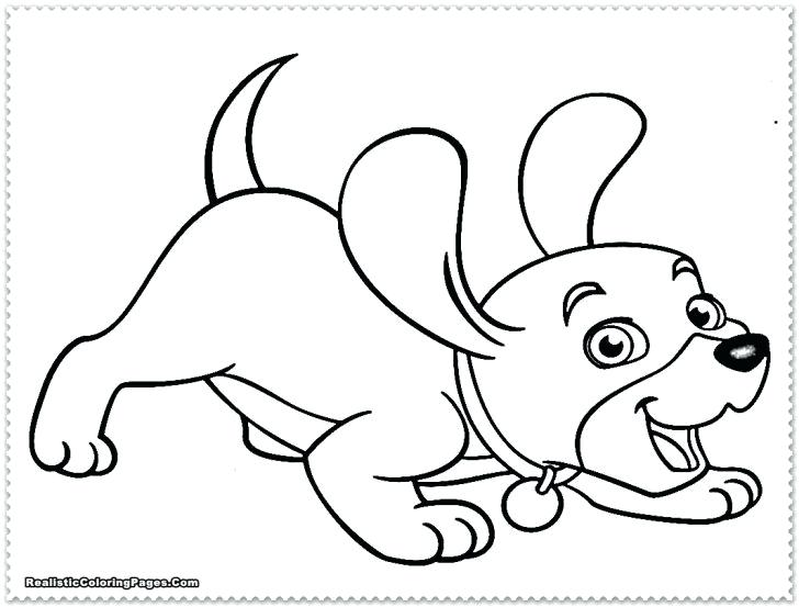 728x553 Free Husky Dog Coloring Pages Best For Kids Page Printable Best