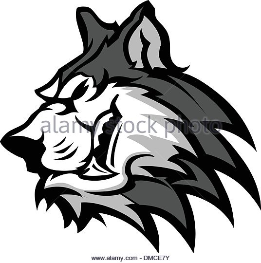 536x540 Husky Stock Vector Images