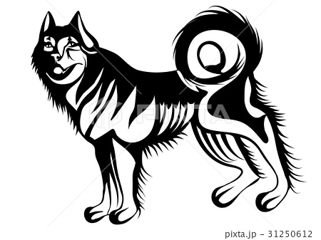 450x337 Husky Illustrations