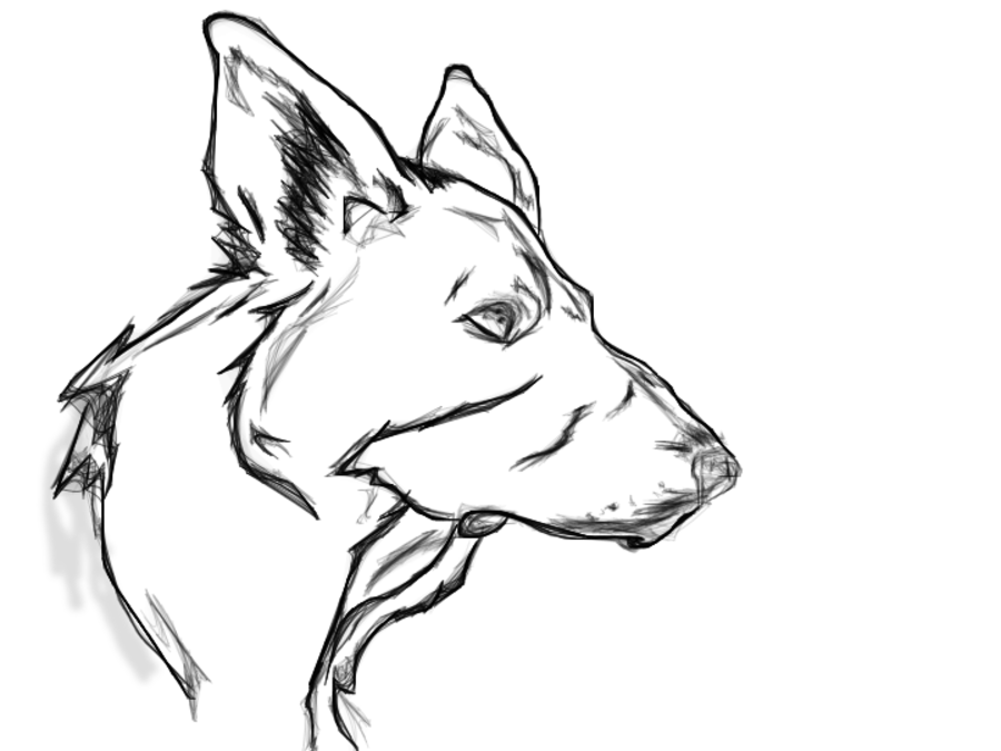 Husky Dog Drawing at GetDrawings | Free download