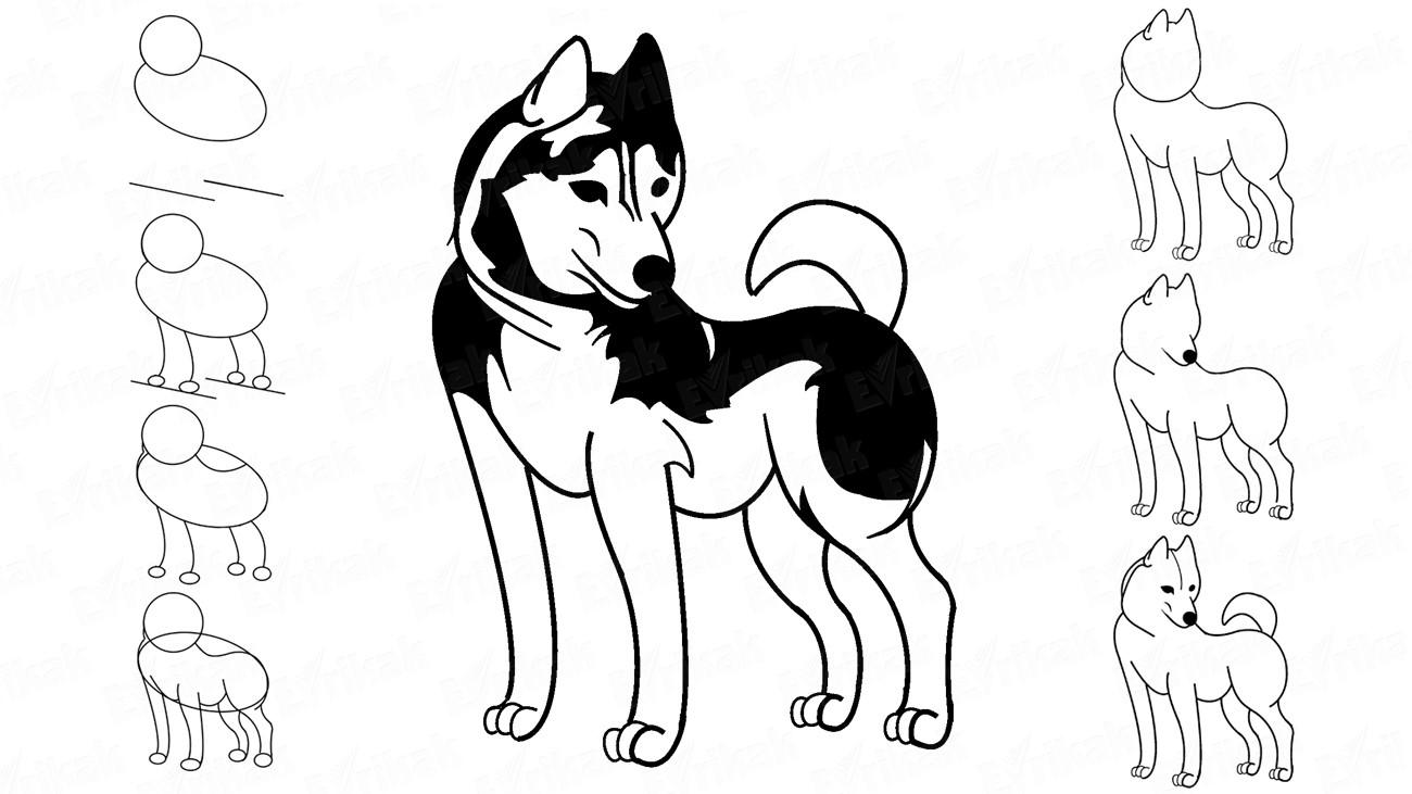 1300x731 Instructions How To Draw A Dog Husky