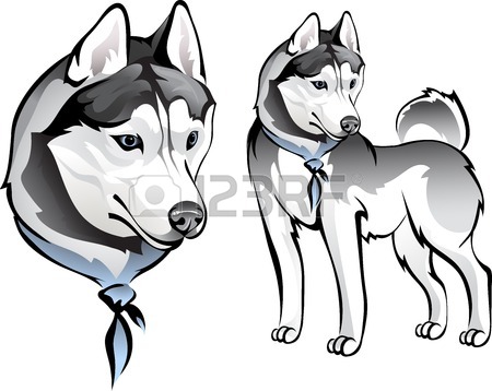 450x358 Siberian Husky Options Royalty Free Cliparts, Vectors, And Stock