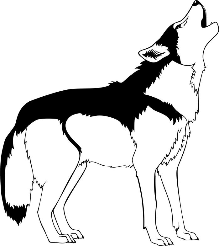 699x784 Wolf Clipart Black And White