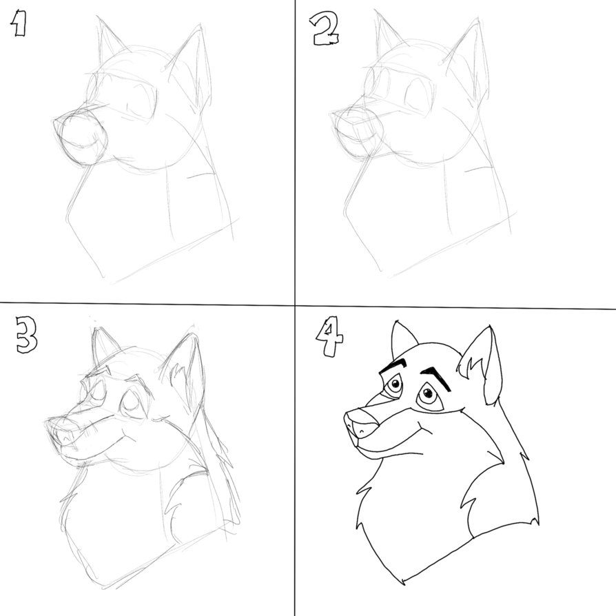 894x894 How To Draw A Wolf's Head, Step By Step By Shadow D Husky