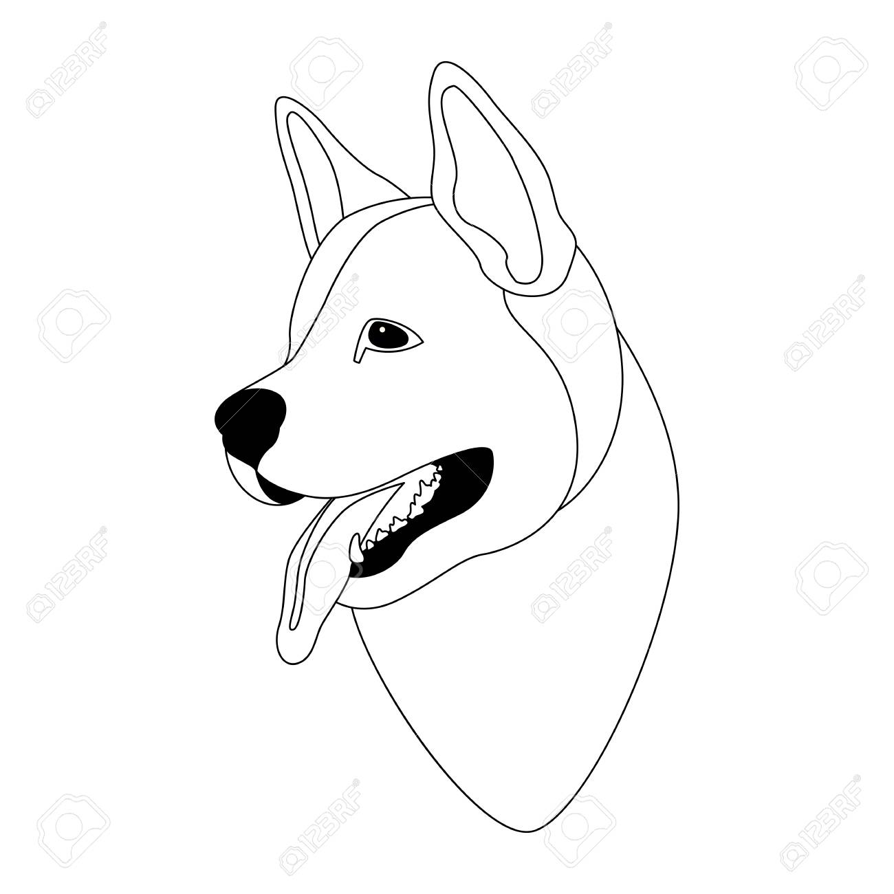 1300x1300 Husky Dog Face Illustration Line Drawing Head Royalty Free
