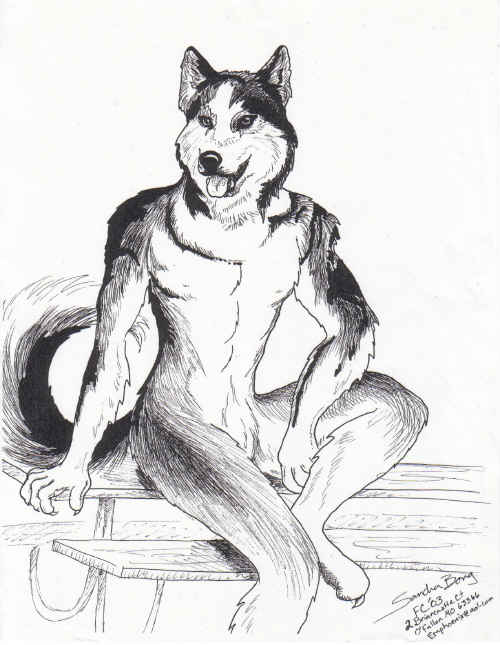 500x645 Husky By Sandrabong