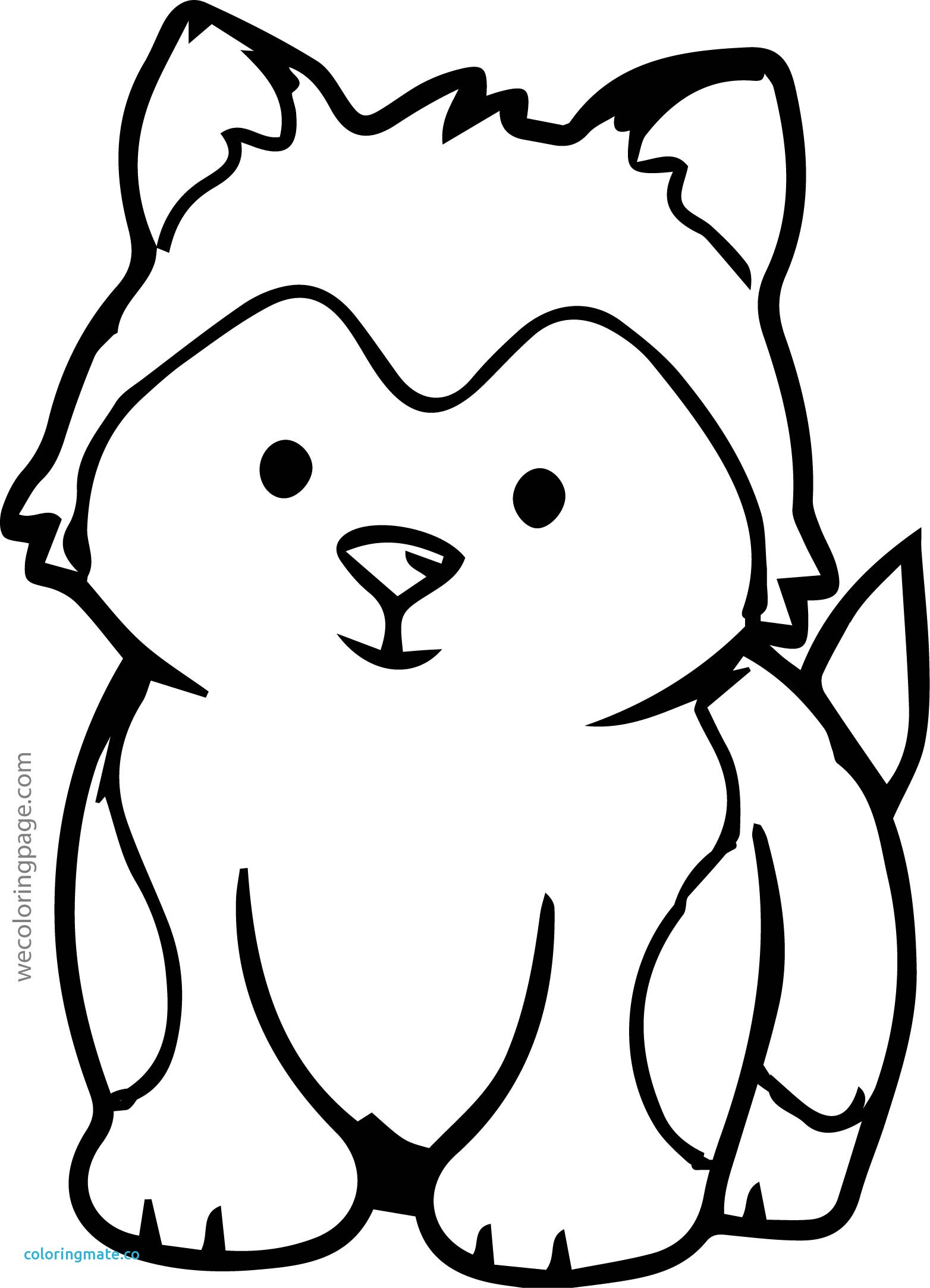 1564x2165 Baby Face Coloring Page Beautiful Cartoon Bear Face Cliparts Co