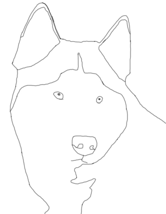 552x709 Husky Digital Art By Mist07000