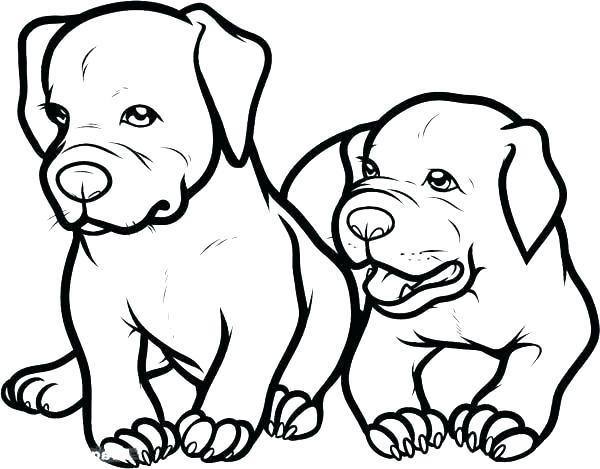 600x469 Awesome Dog Face Coloring Pages Free Download Husky Cute Puppy