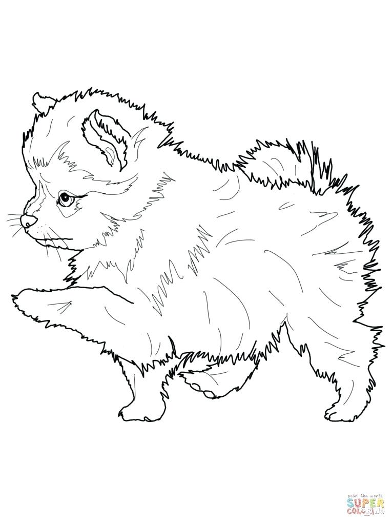 765x1020 Great Husky Coloring Pages Online
