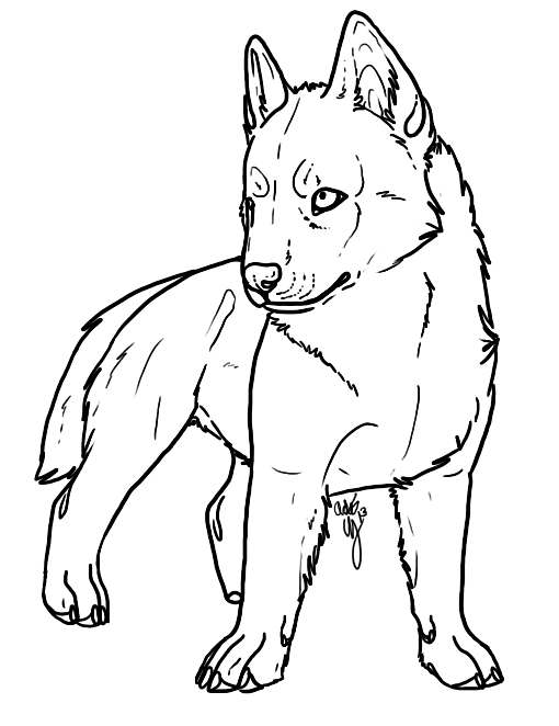 510x662 Husky Pup Lines By Canispitbull