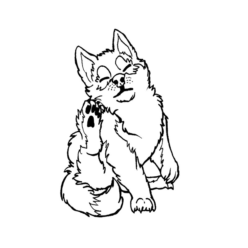 800x800 Husky Puppy Lineart By Xiphosuras