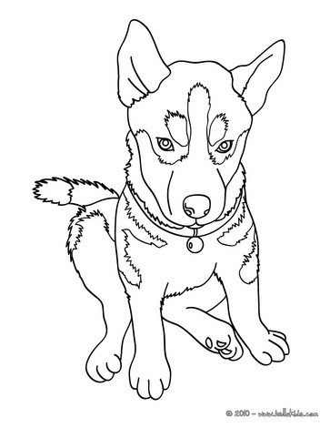 363x470 Beautiful Husky Coloring Page! Nice Dog Drawing For Kids. More
