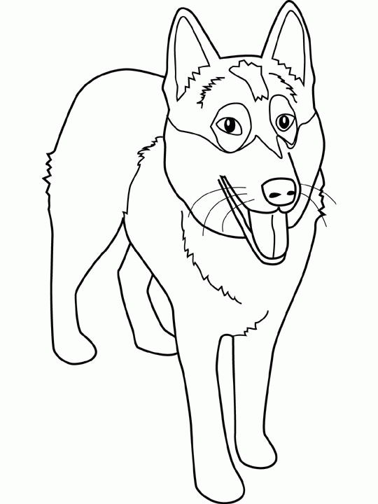 540x720 Husky Puppy Coloring Page