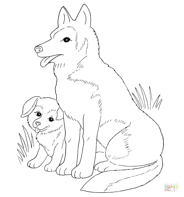 742x794 Puppies Coloring Husky Puppy Coloring Pages Puppy Images Coloring