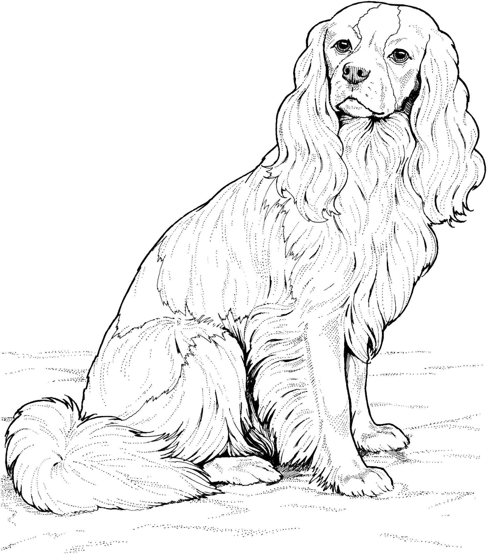 1677x1904 Realistic Husky Puppy Coloring Pages Online Coloring Printable