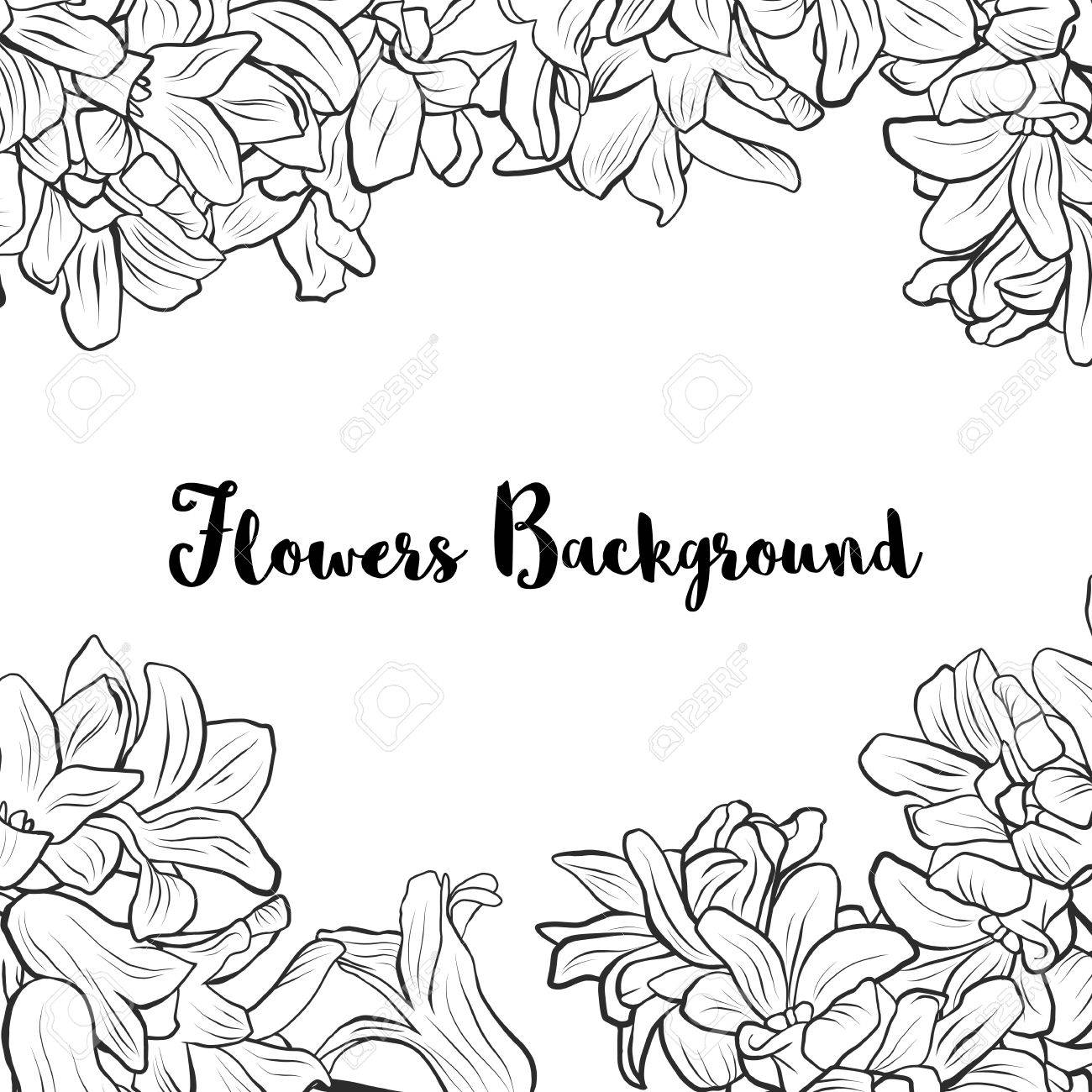 1300x1300 Vector Background With Line Drawing Hyacinth Flowers , Hand