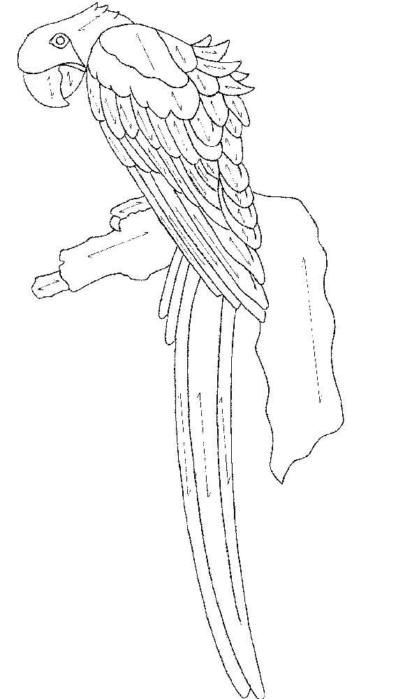 600x1000 Weekend Project