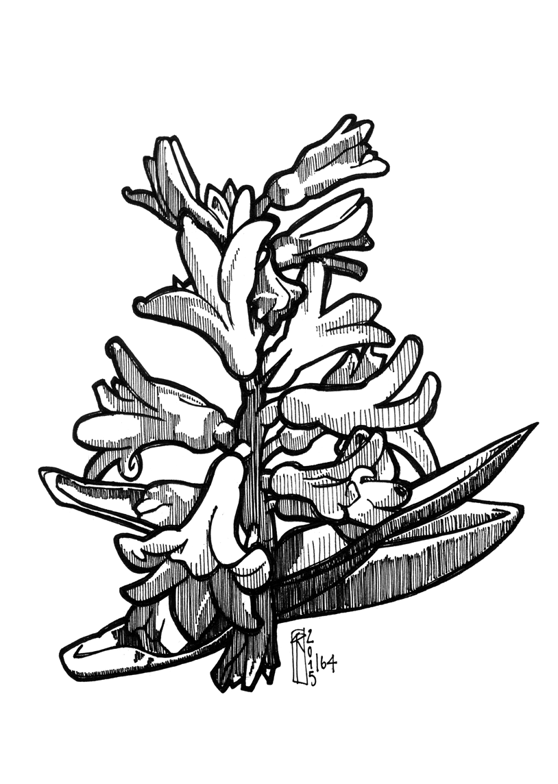 814x1144 Drawing Page 14 Kwills