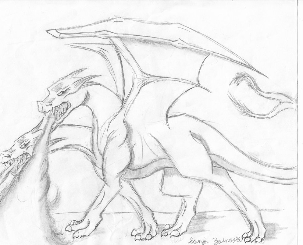 994x804 Hydra By Blue Fire Dragon