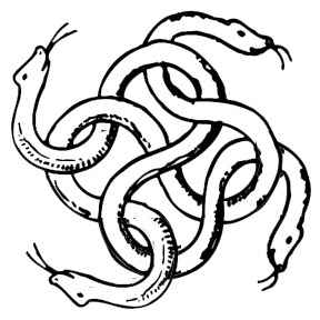 288x288 False Hydra
