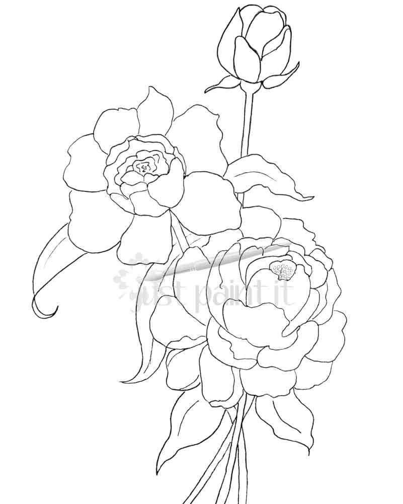 801x1001 Hydrangea Flower Coloring Pages Coloring Page Fun