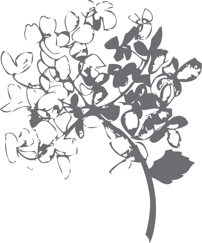 685x824 Hydrangea House Design Amp Decor