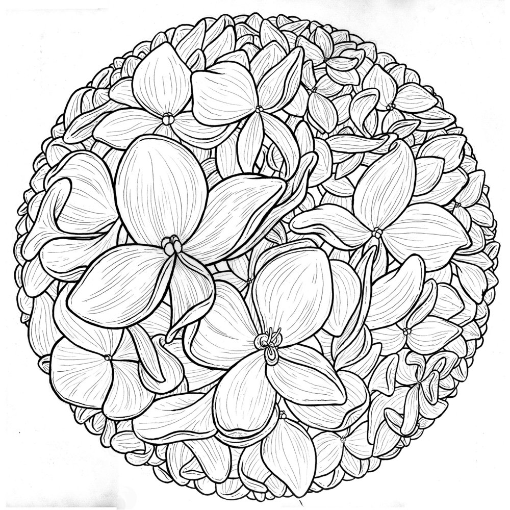 1000x1000 Hydrangea Circle Scott Teplin